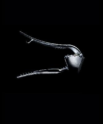 Photograph Gustavo Lacerda Untitled on One Eyeland